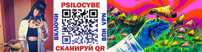 Псилоцибиновые грибы прущие грибы  Купить где  Терек 
